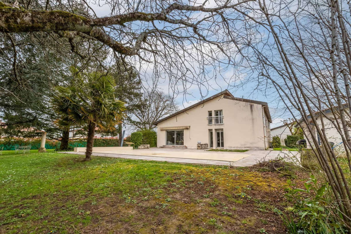 Village property with gite/annexe - photo 36