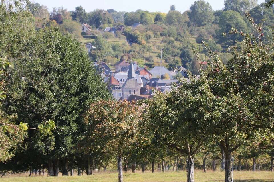 Terrain à CAMBREMER