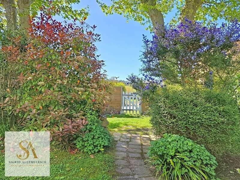 Charmante maison de village avec jardin – Rieux-en-Val, 25 min de Carcassonne - Corbières - photo 15