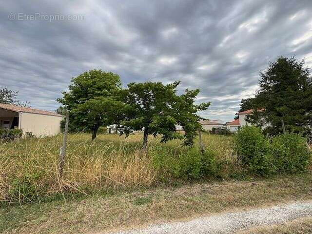 Terrain à bâtir de 1040 m² à MESCHERS-SUR-GIRONDE (17) - photo 3