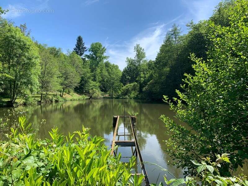 Terrain à PRESSIGNAC