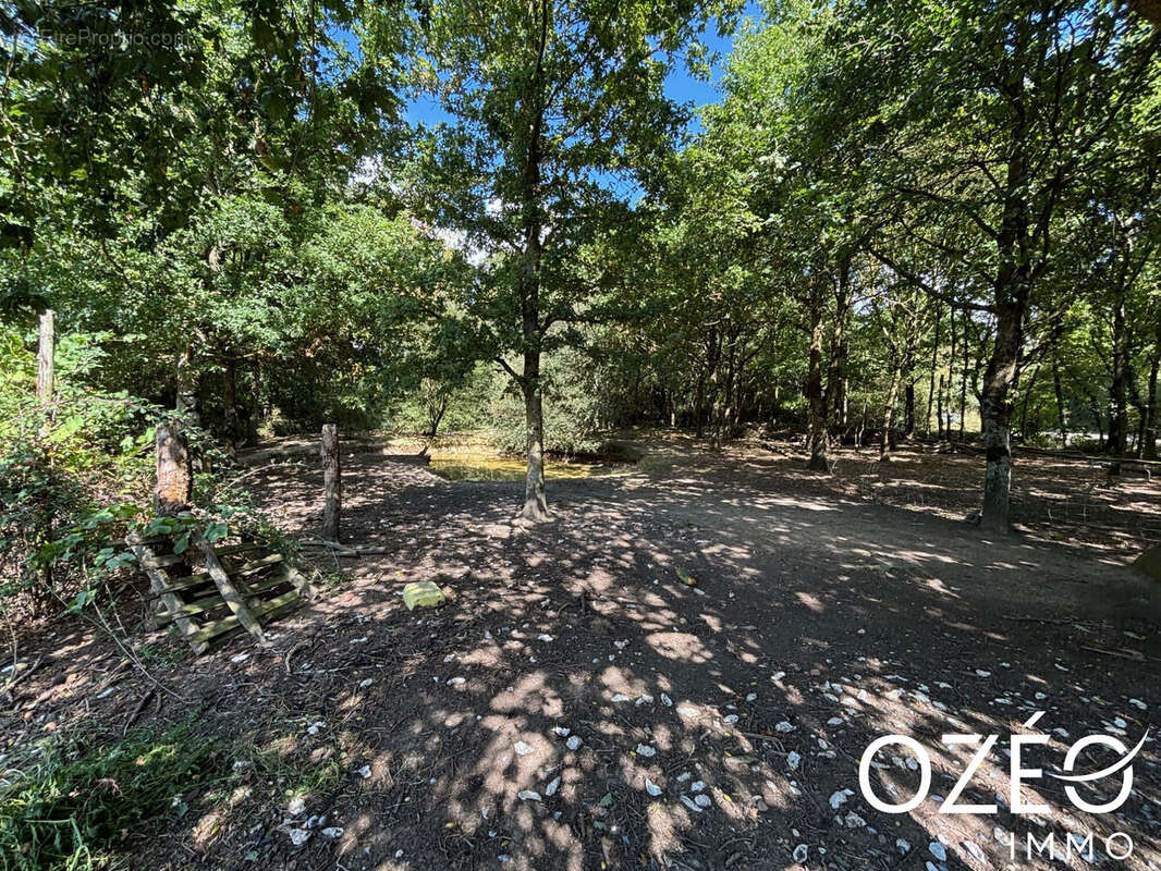 Maison à LA ROUXIERE