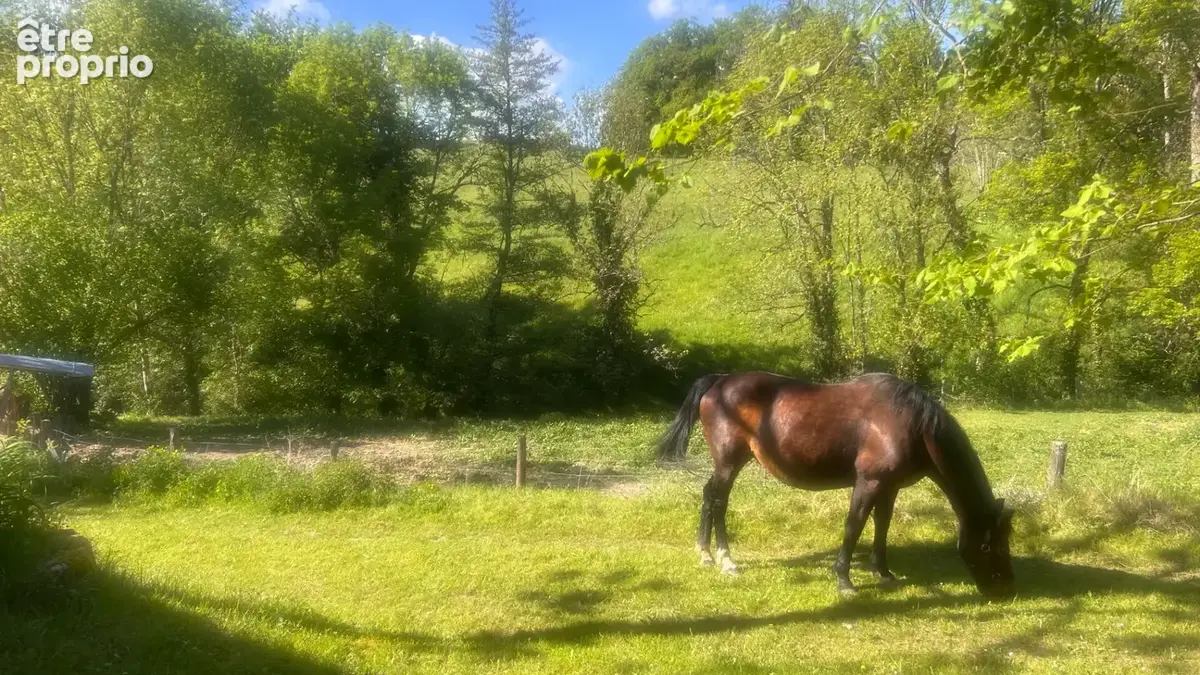 Ensemble en pierre d'exception aux portes de l'Aubrac : 4 maisons restaurées, piscine & patio - PROCHE ESTAING - photo 18