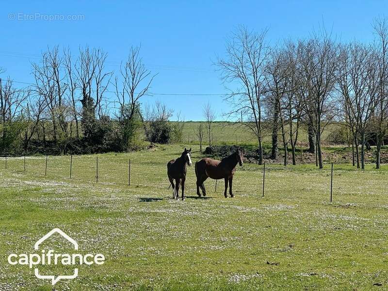 Propriété 12 pièces proche de THOUARS (79) un lieu d’exception - photo 3