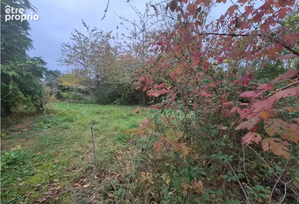 Terrain à LES ESSARTS-LE-ROI