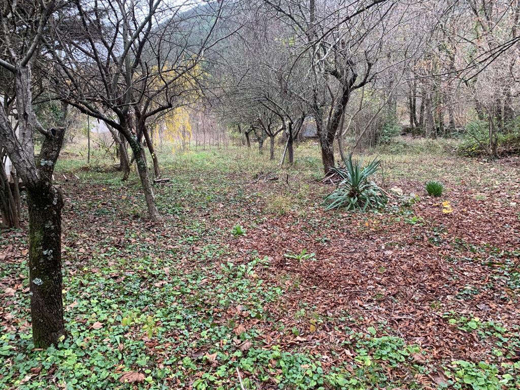 Terrain à MONTDARDIER