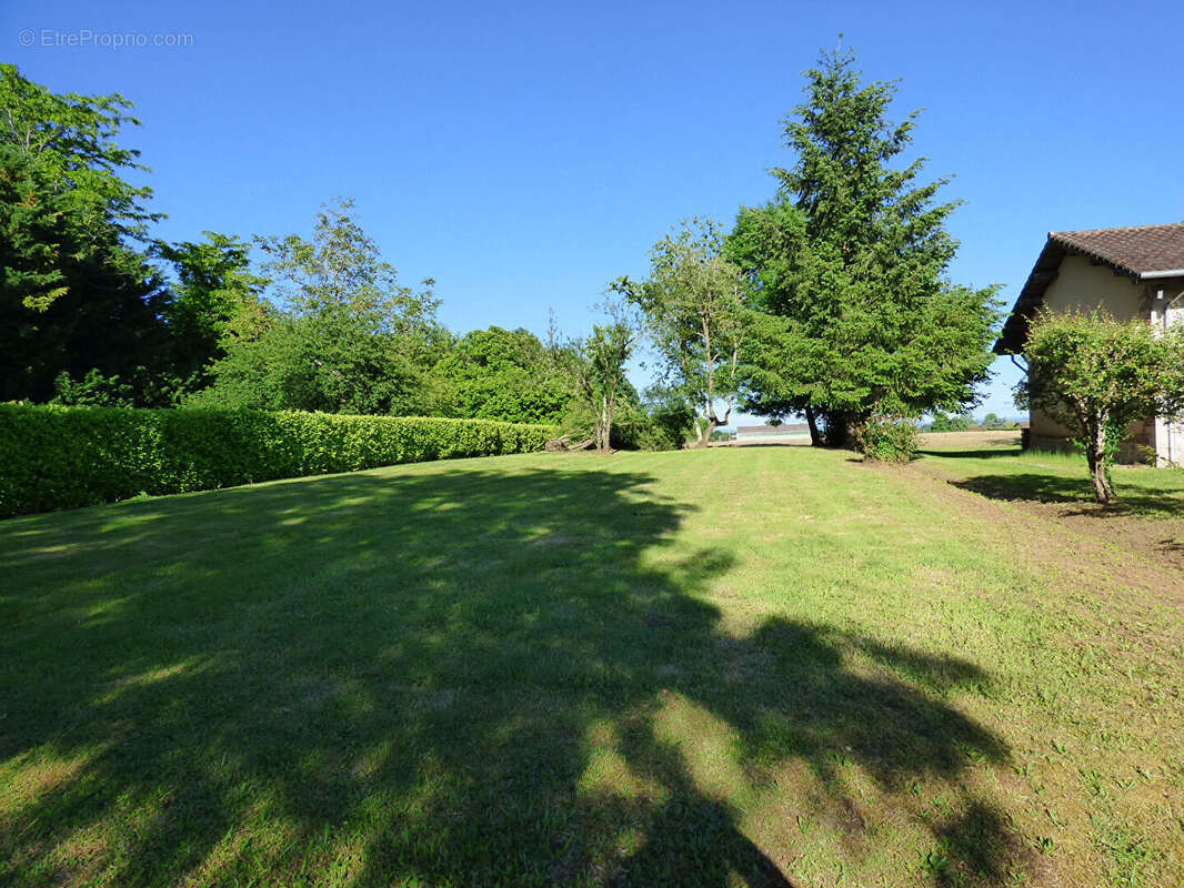 Maison ancienne et dépendances et 2 896 m² de terrain - photo 13