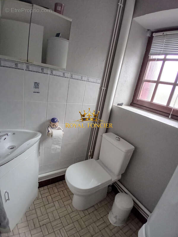 Maison 133 m² à Sainte-Maure-De-Touraine  - photo 9