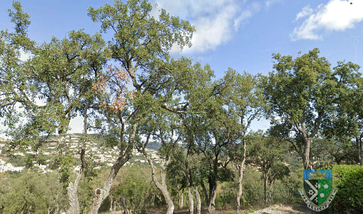 Terrain à LA LONDE-LES-MAURES