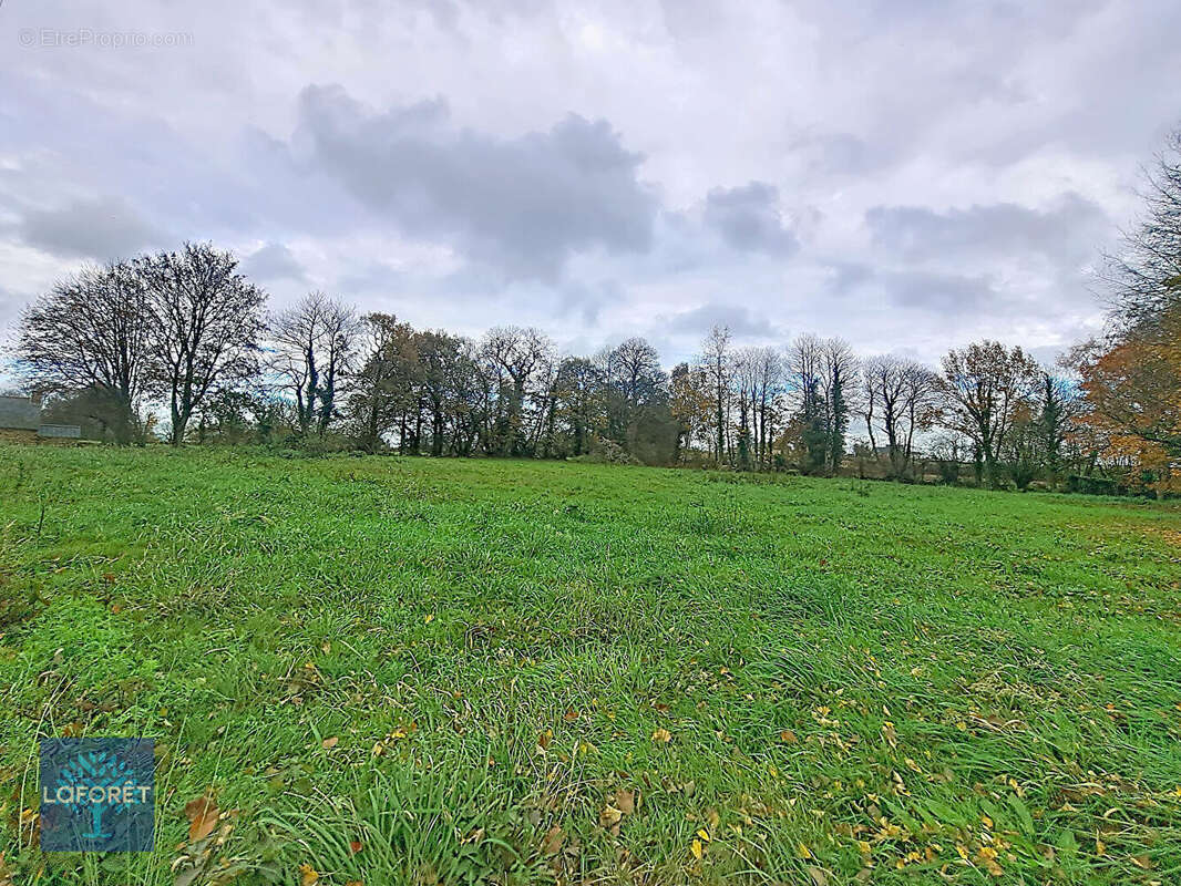 Terrain à LE LOROUX