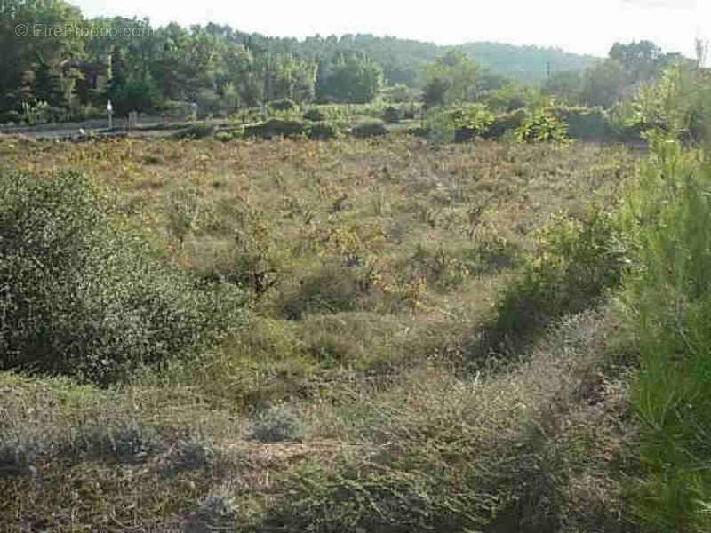 Terrain à CLERMONT-L&#039;HERAULT