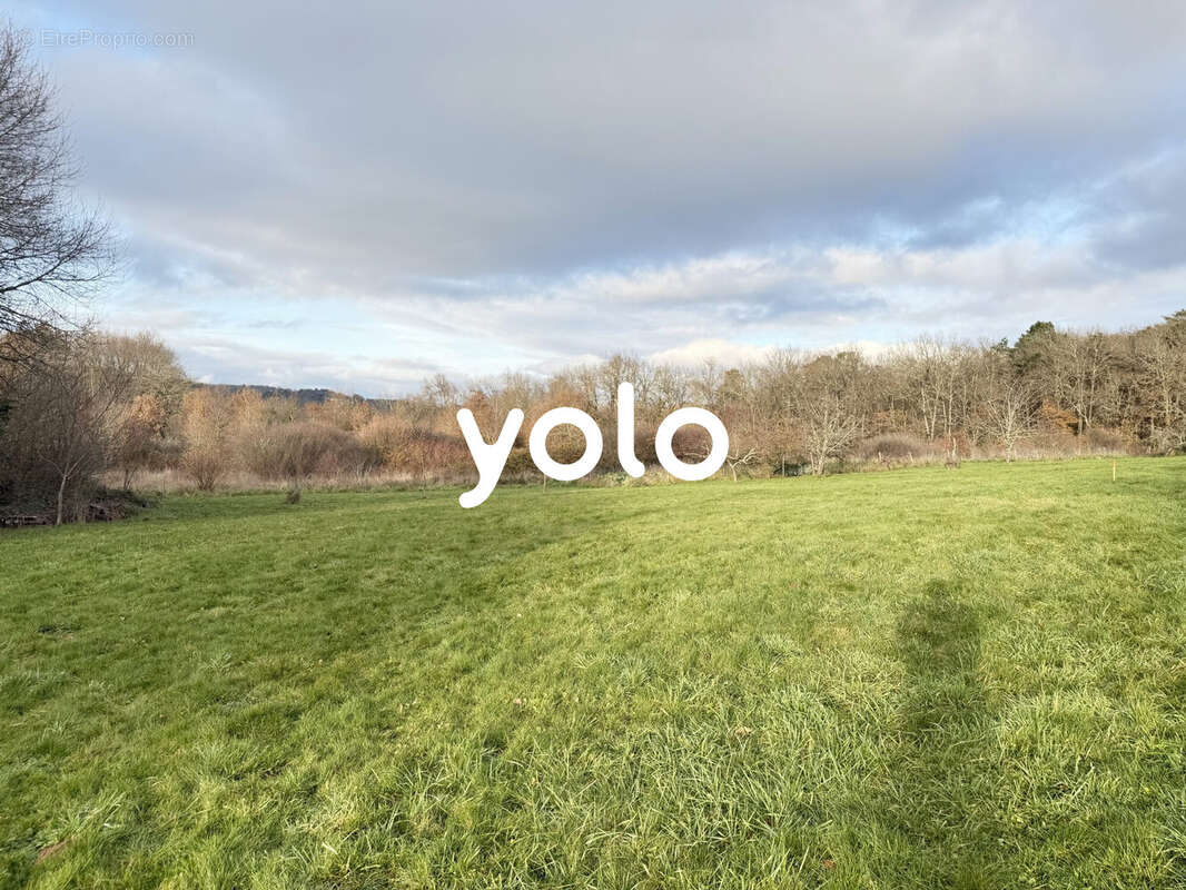 Terrain à CHANCELADE