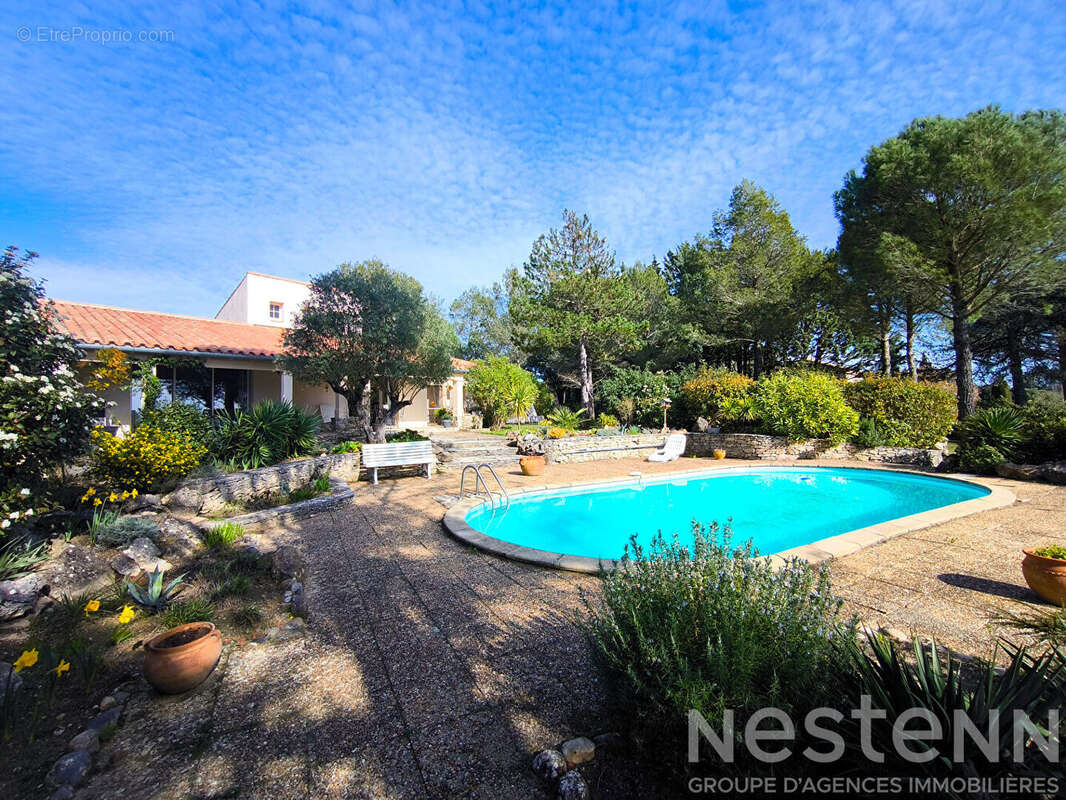 Maison 150 m² terrain 2800 m² Aragon vue dégagée piscine rénovée 2024 3 chambres environnement calme - photo 2