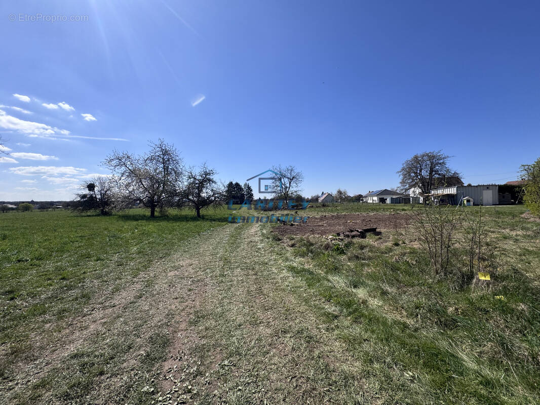 Terrain à FROIDECONCHE