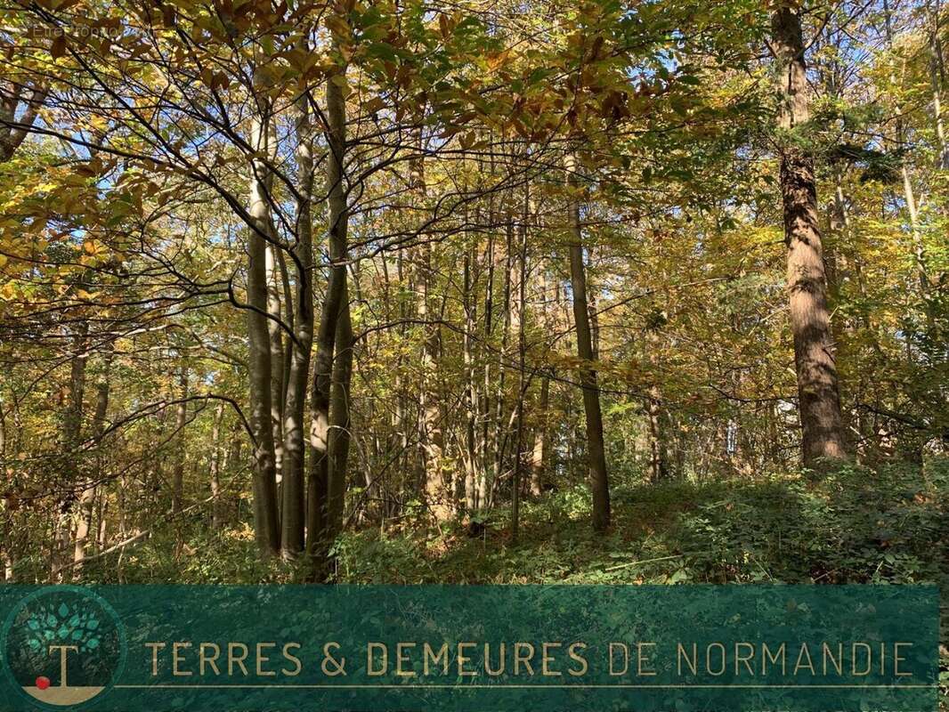 Terrain à BEUZEVILLE