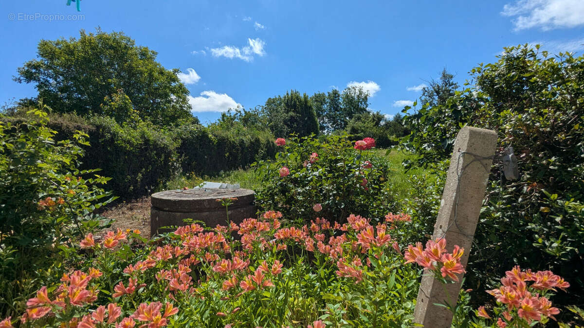 Jolie maison de campagne à rénover à AMFREVILLE - 68,5 m² - photo 3