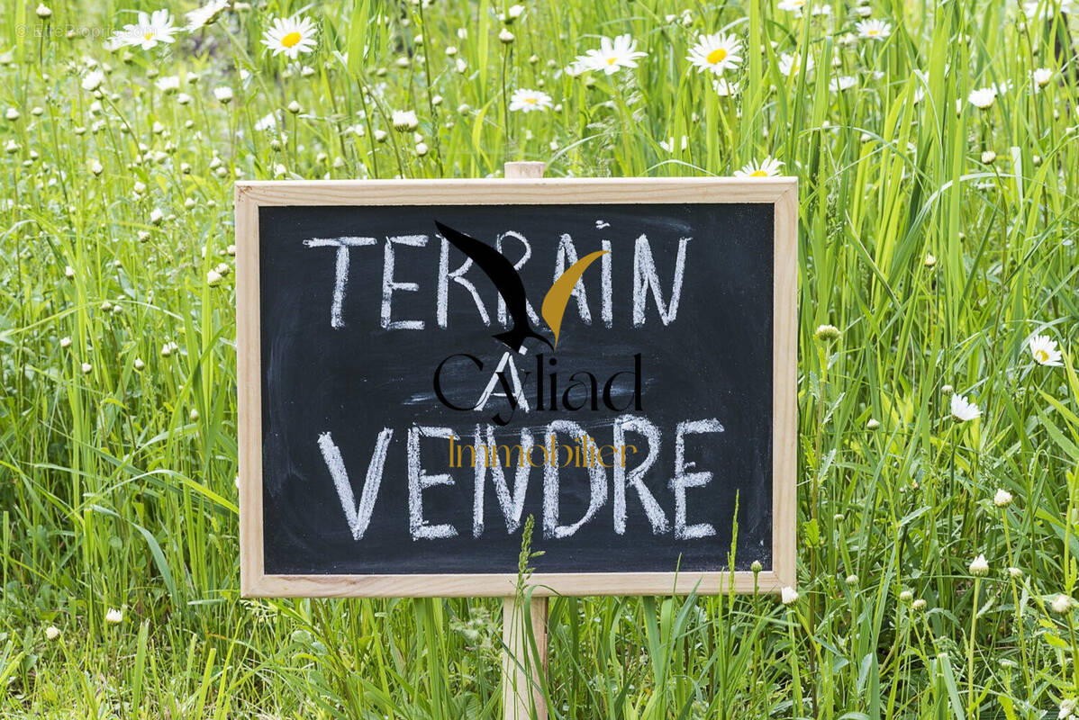Terrain à CANCALE
