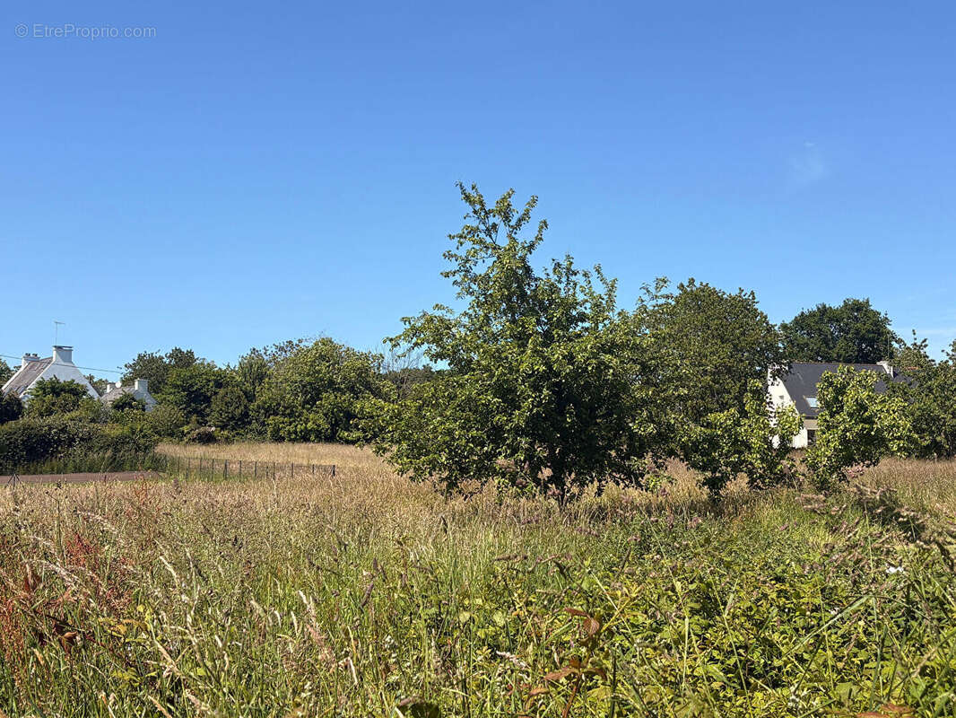 Terrain à LA FORET-FOUESNANT