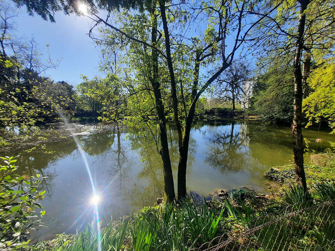 Appartement à JOUE-LES-TOURS