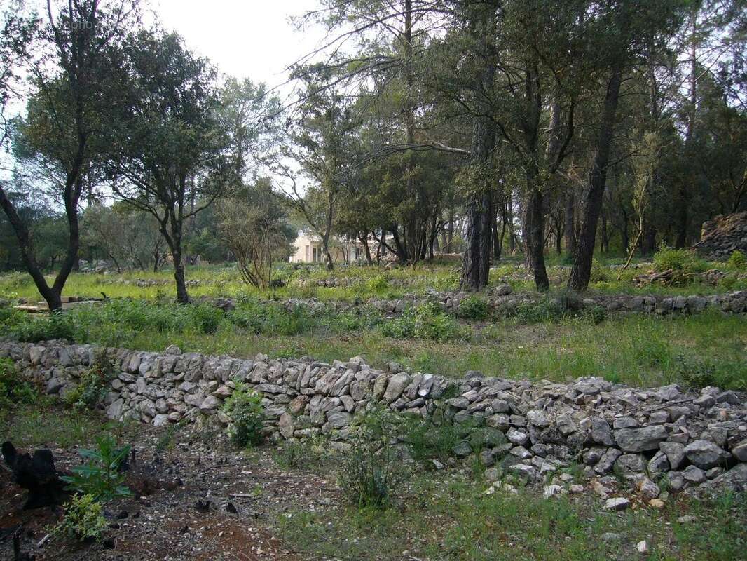 Maison à MONTFORT-SUR-ARGENS