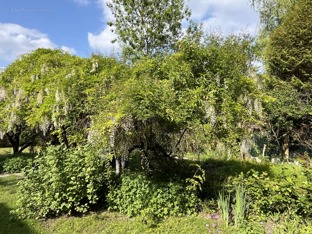 Maison à PONT-SAINTE-MAXENCE