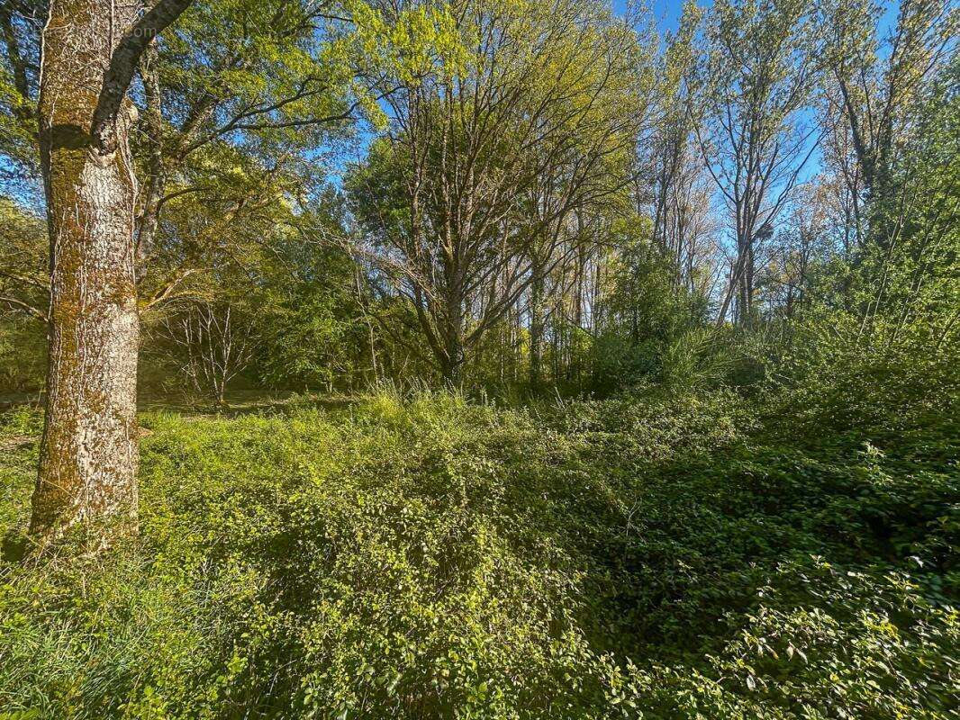 Terrain à VILLEFRANCHE-SUR-CHER