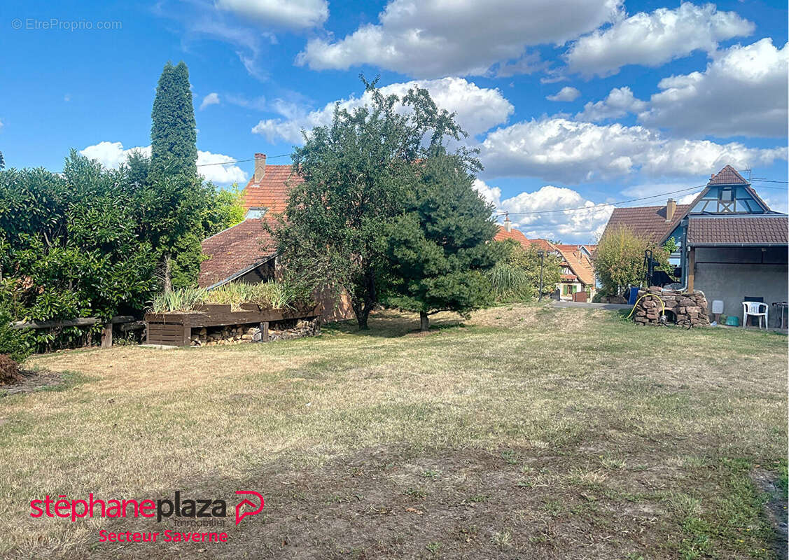 Maison à OBERMODERN-ZUTZENDORF