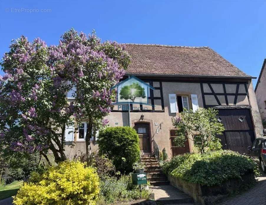 Maison à LA PETITE-PIERRE