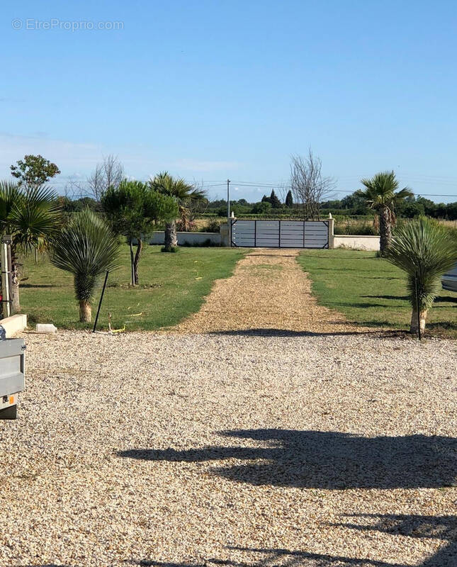 Terrain à MARSILLARGUES