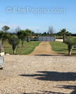 Terrain à MARSILLARGUES