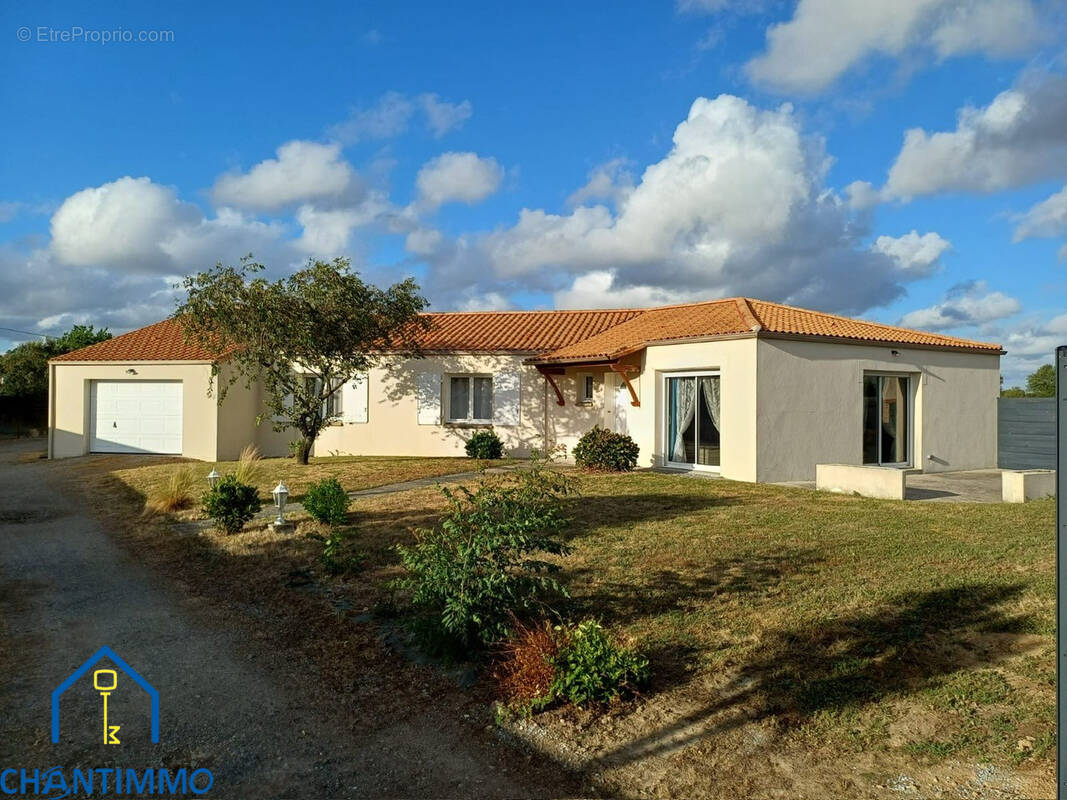 Maison à VIEILLEVIGNE