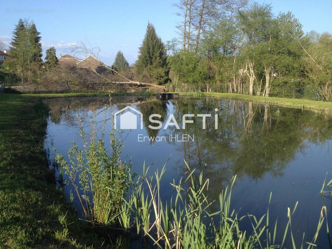 Photo 1 - Terrain à CITERS