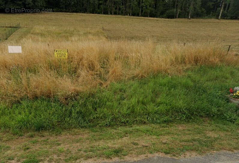 Terrain à SAPOGNE-ET-FEUCHERES