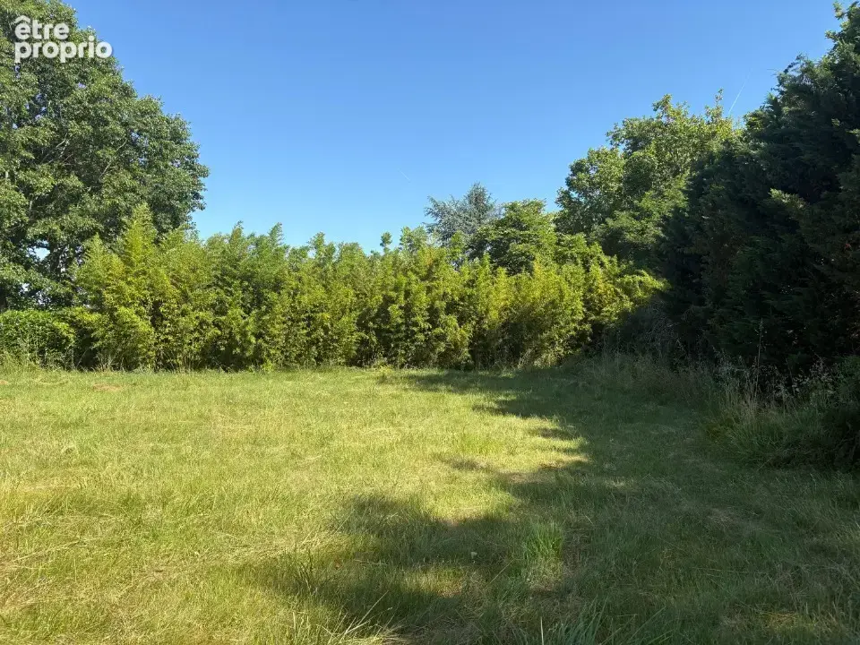 Terrain 1 410 m² à vendre à Saint-Sauveur (31790) - photo 3