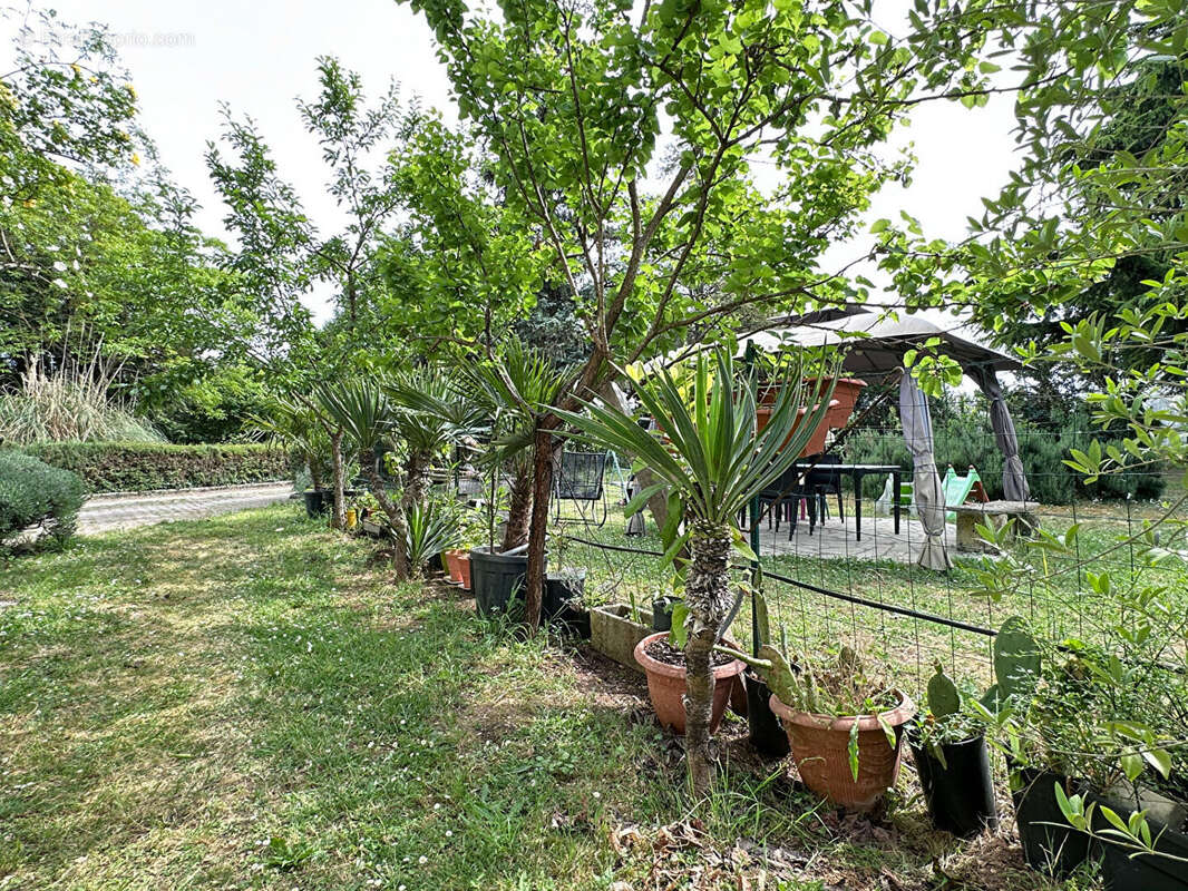 Charmante Maison Familiale avec Jardin à Roullet-Saint-Estèphe - photo 14
