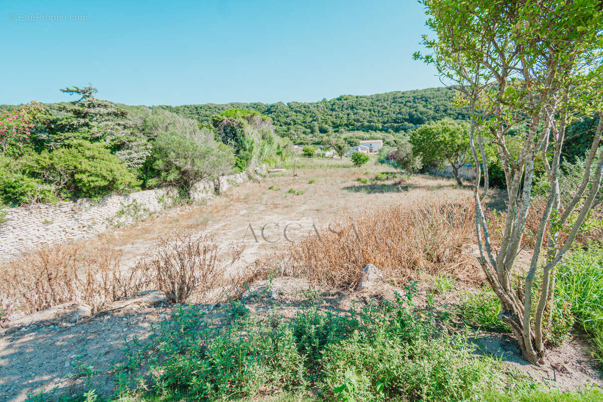 Maison avec terrain constructible de 4 260 m2 et permis accordé   Bonifacio, Vallée Saint-Julien - photo 8
