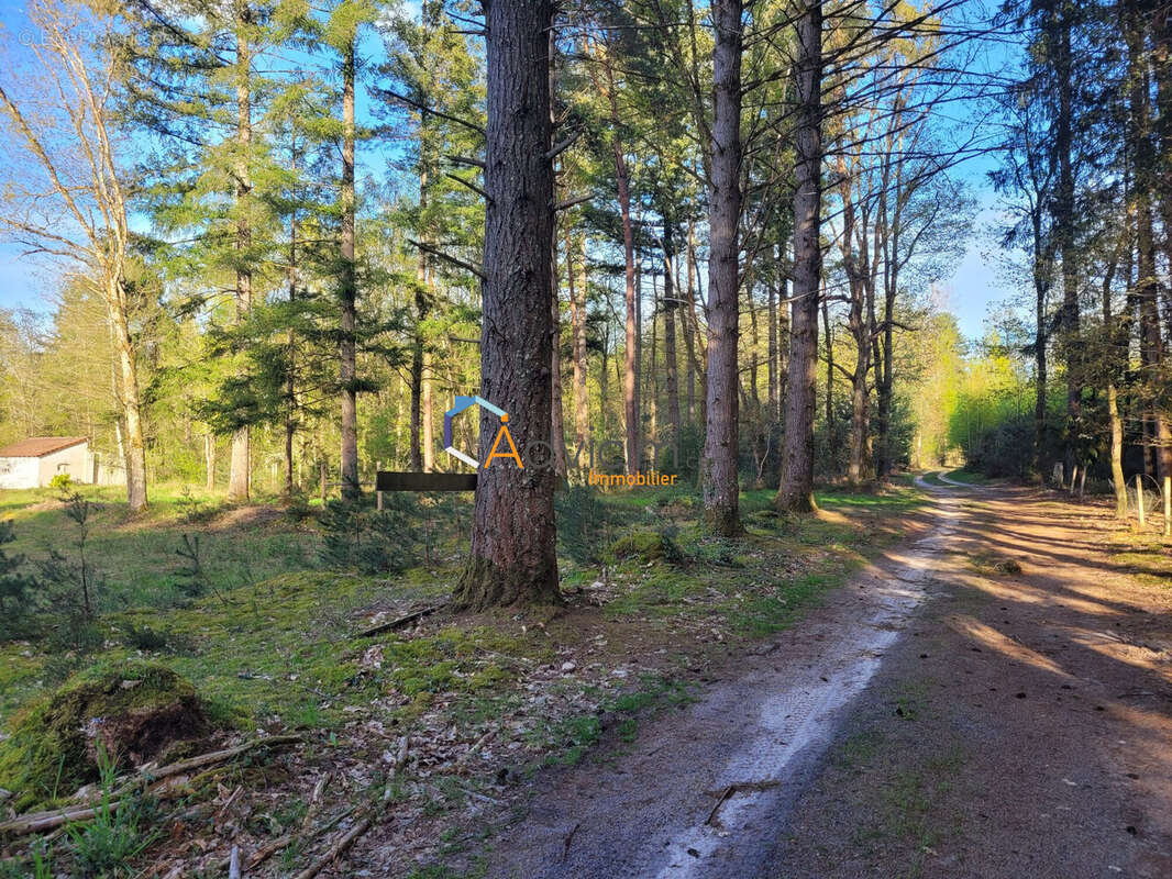 Terrain à NEUVY-SUR-BARANGEON
