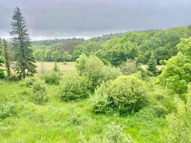 Maison à CARCASSONNE