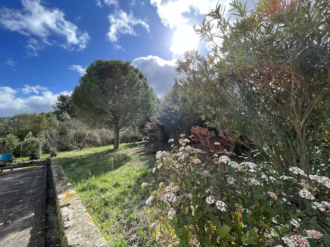 Maison à TOUROUZELLE