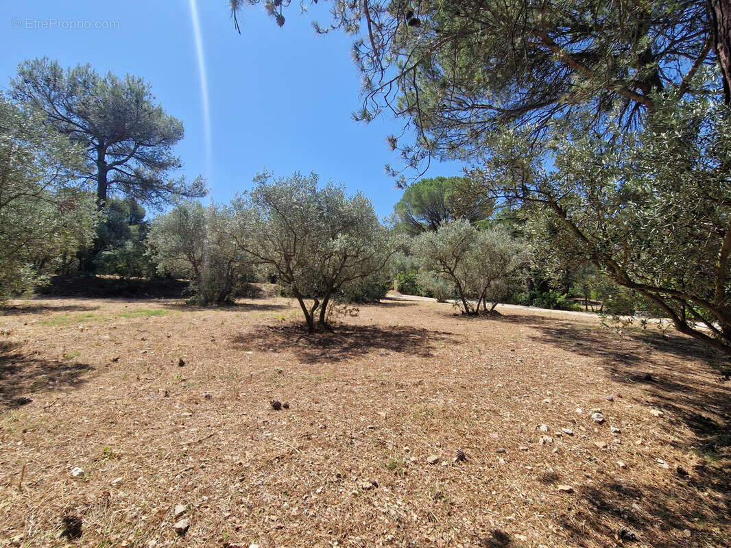 Terrain à CAVAILLON