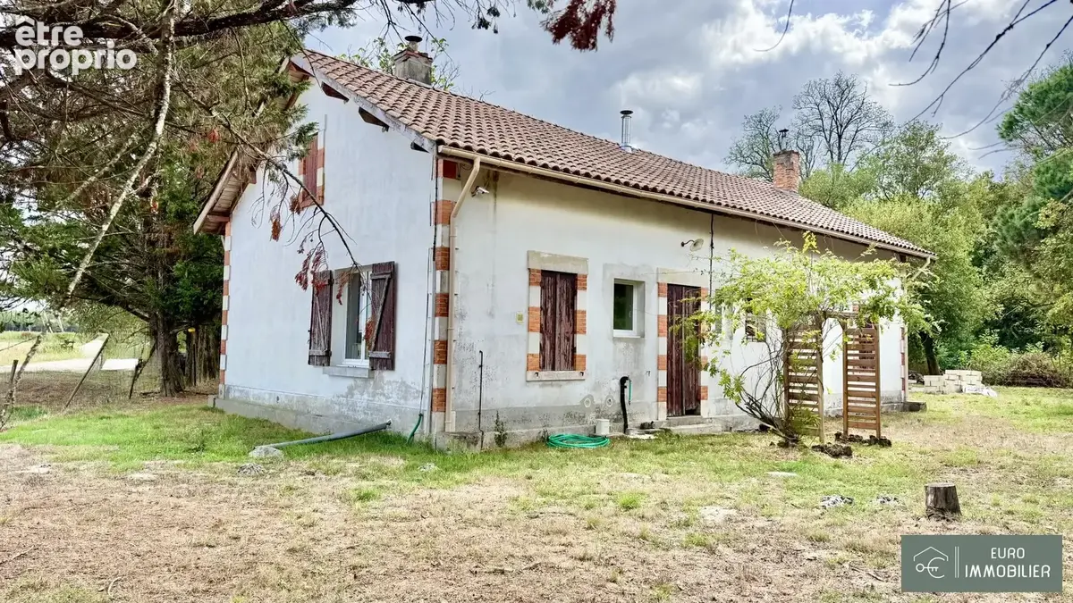 Maison 5 pièces 110 m² à vendre à Pissos (40410) - photo 3