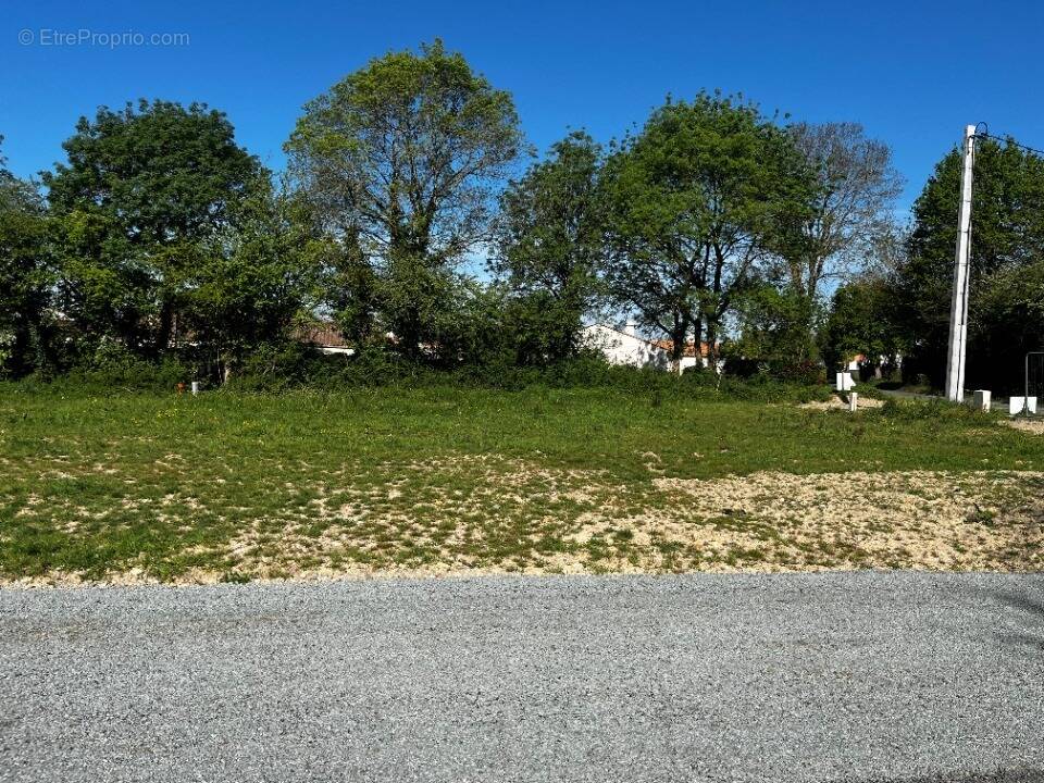Terrain à CHALLANS