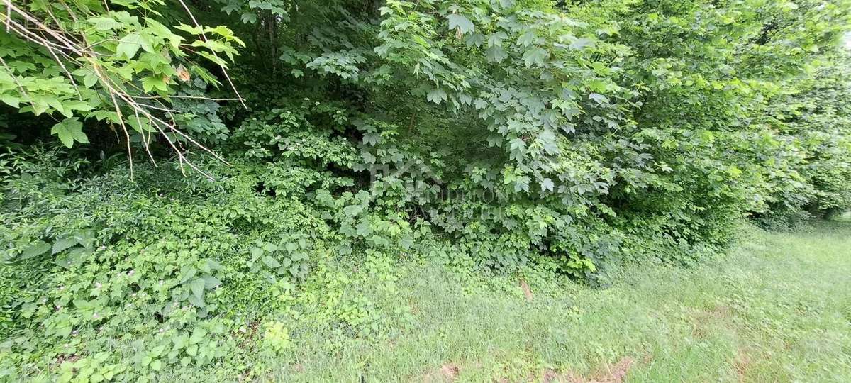 Terrain à PONT-A-MOUSSON