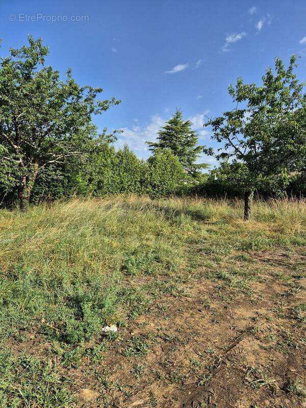 Terrain à L&#039;ISLE-D&#039;ESPAGNAC