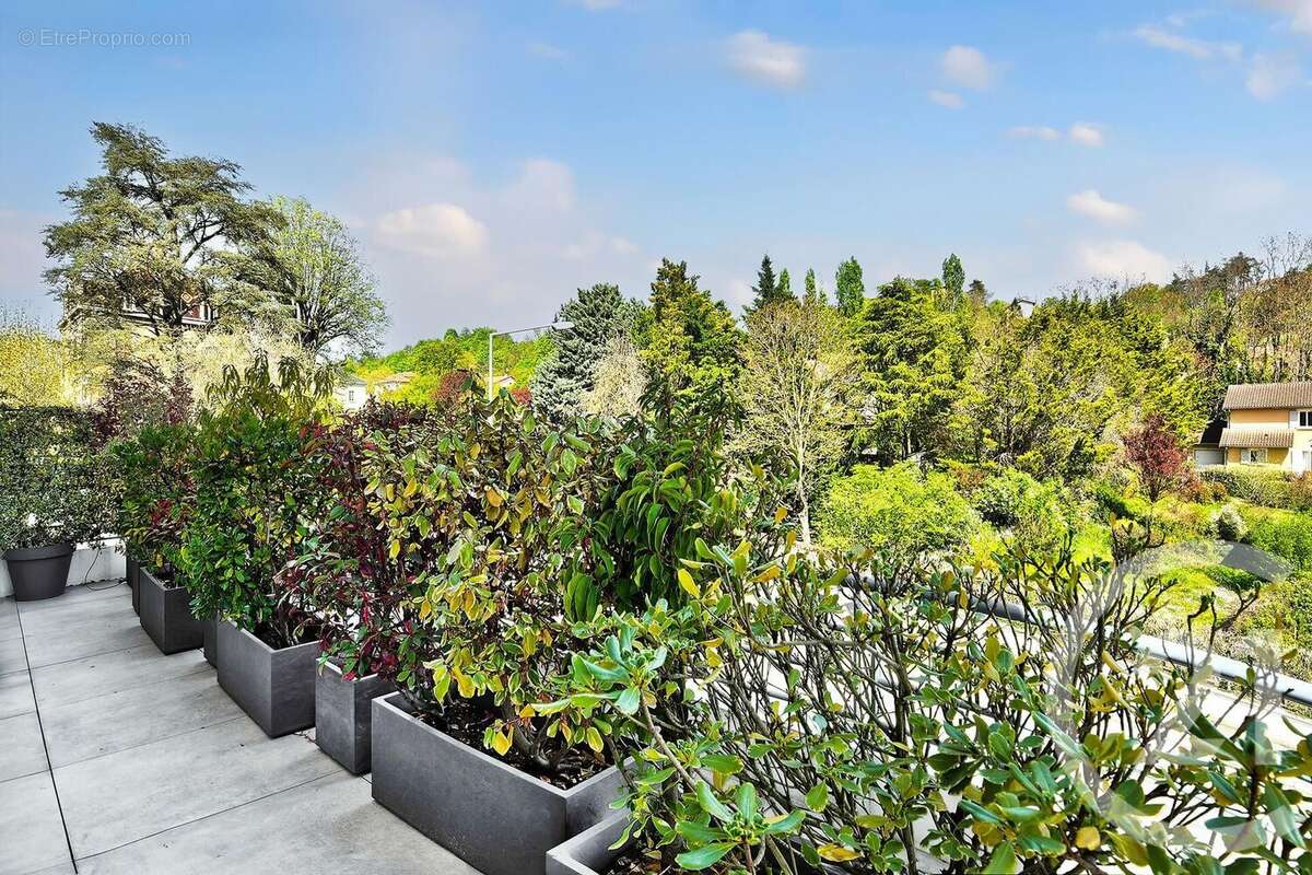 Appartement à NEUVILLE-SUR-SAONE