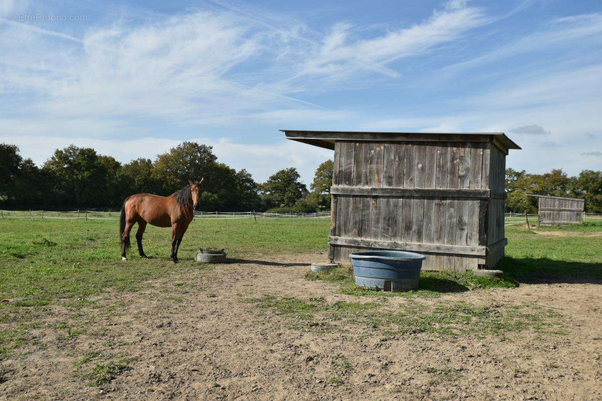 Ferme sur 30 ha avec longere et dependance - photo 26