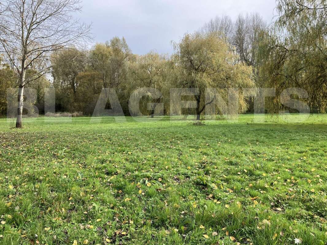 IMG_8125 - Terrain à LA FERTE-SOUS-JOUARRE