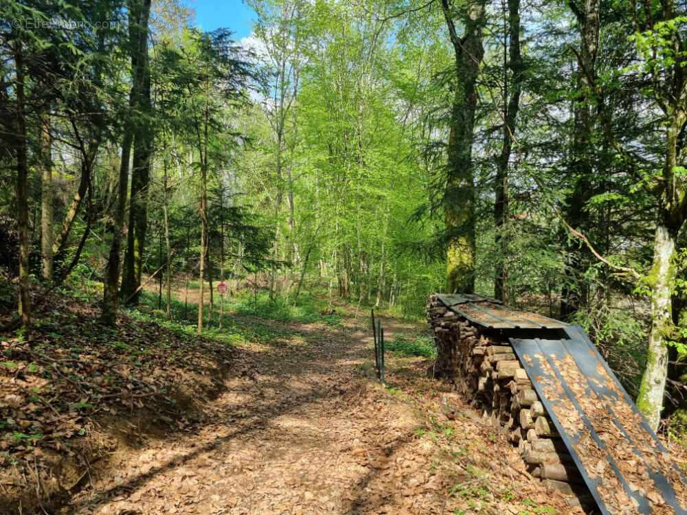 Maison à GRANDVILLERS