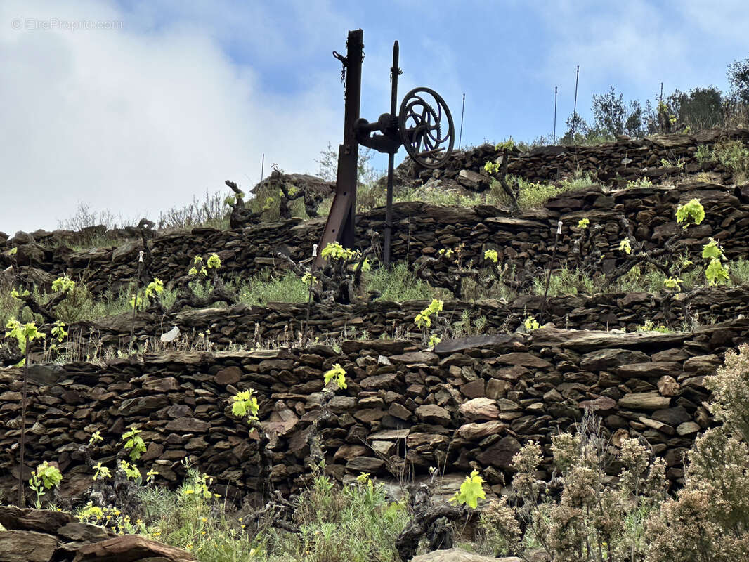 Terrain à PORT-VENDRES