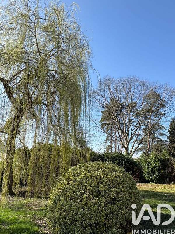 Photo 7 - Maison à SAINT-CYR-SUR-LOIRE